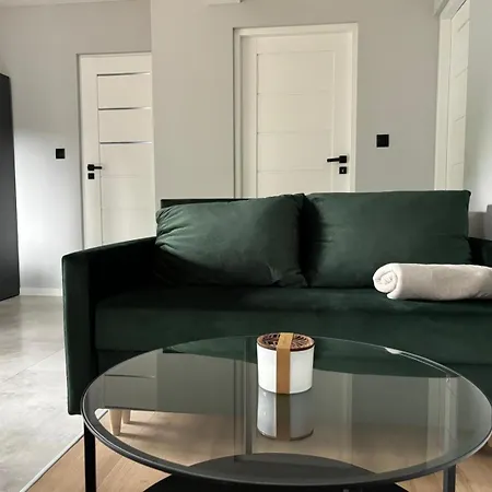 Dach Pod Sowa Gs Apartment Ludwikowice Klodzkie