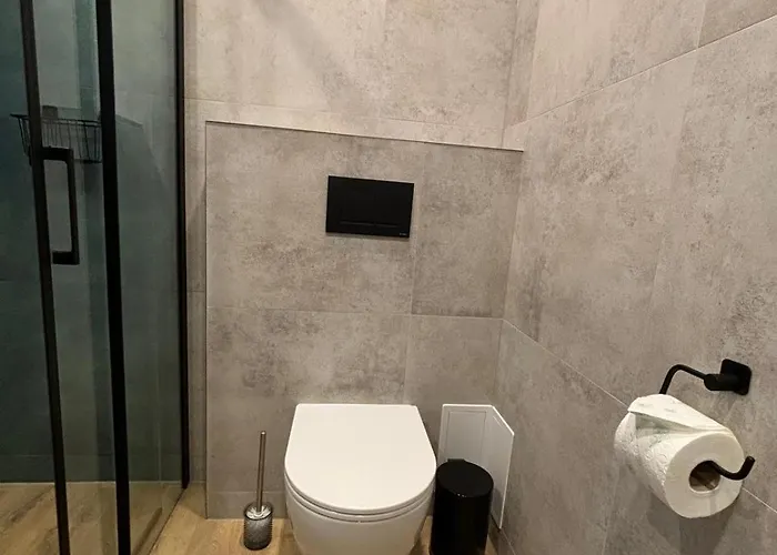 Apartment Dach Pod Sowa Gs