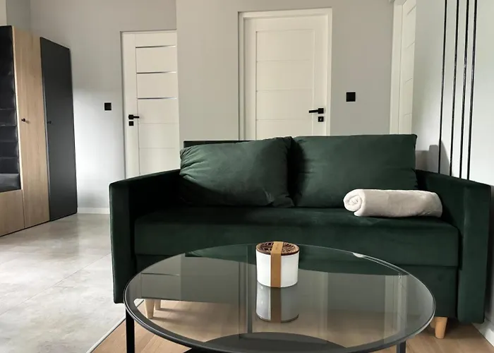 Dach Pod Sowa Gs Apartment Ludwikowice Klodzkie